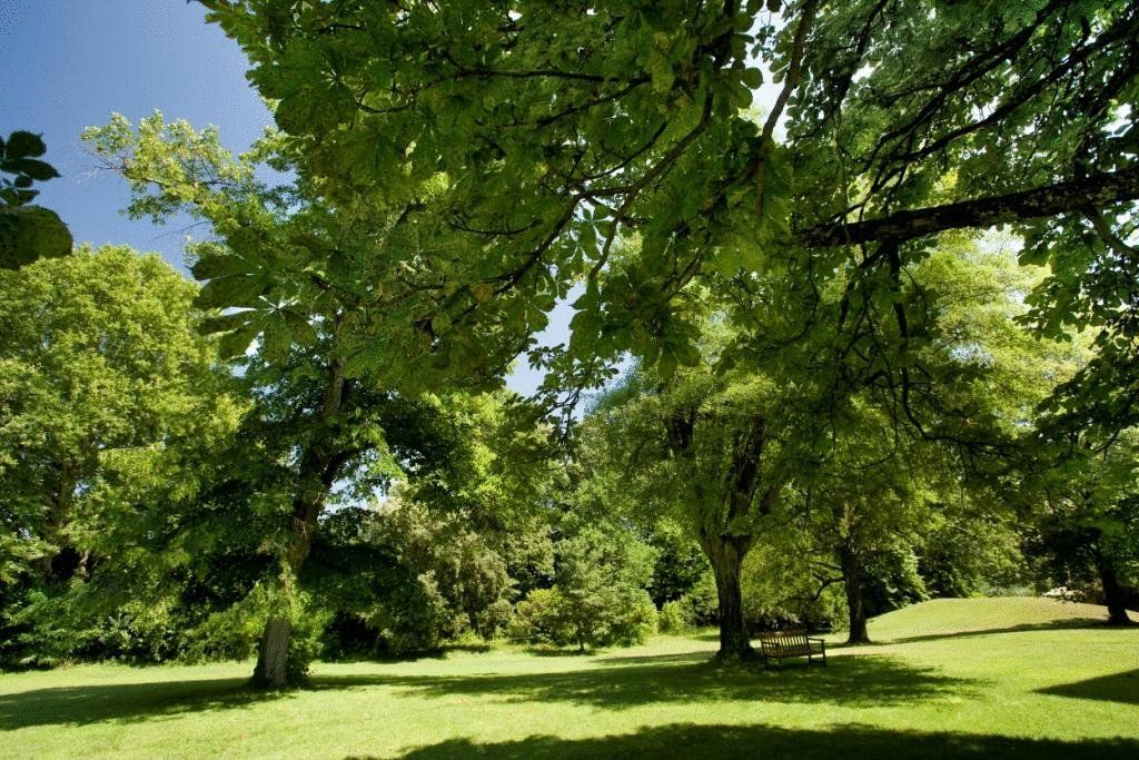 Chateau De Montcaud Sabran エクステリア 写真