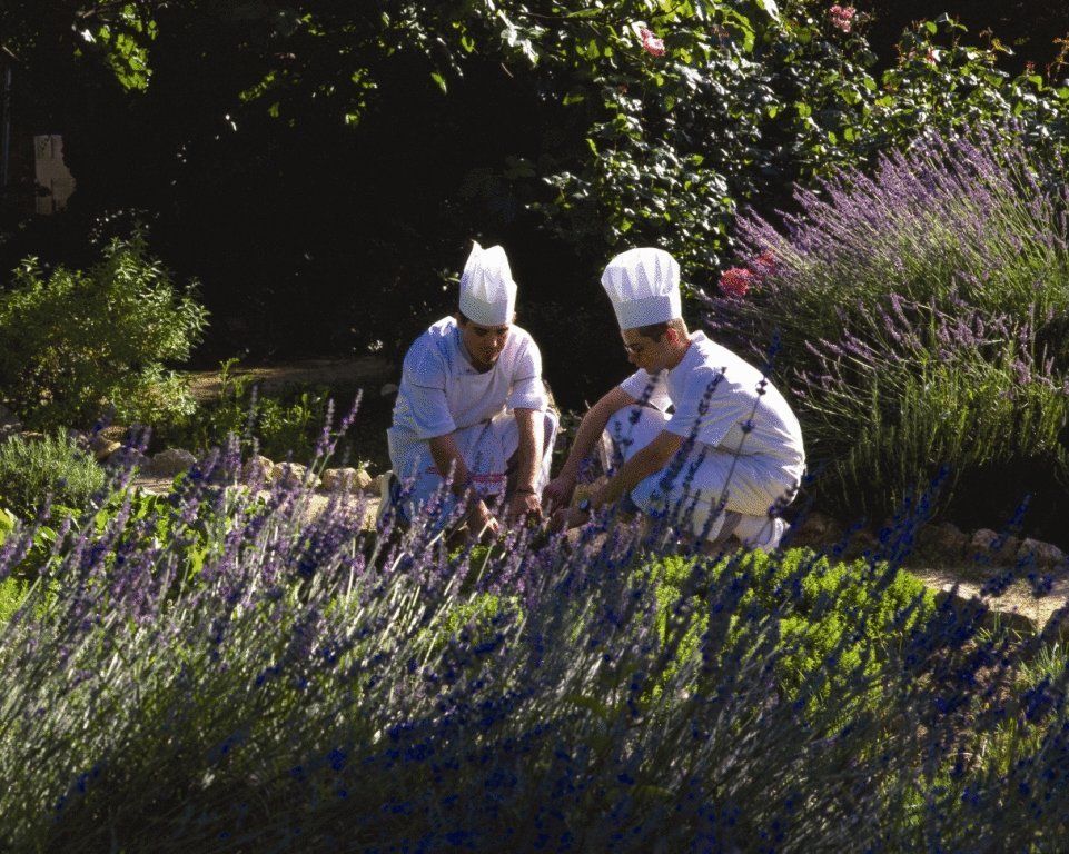 Chateau De Montcaud Sabran エクステリア 写真
