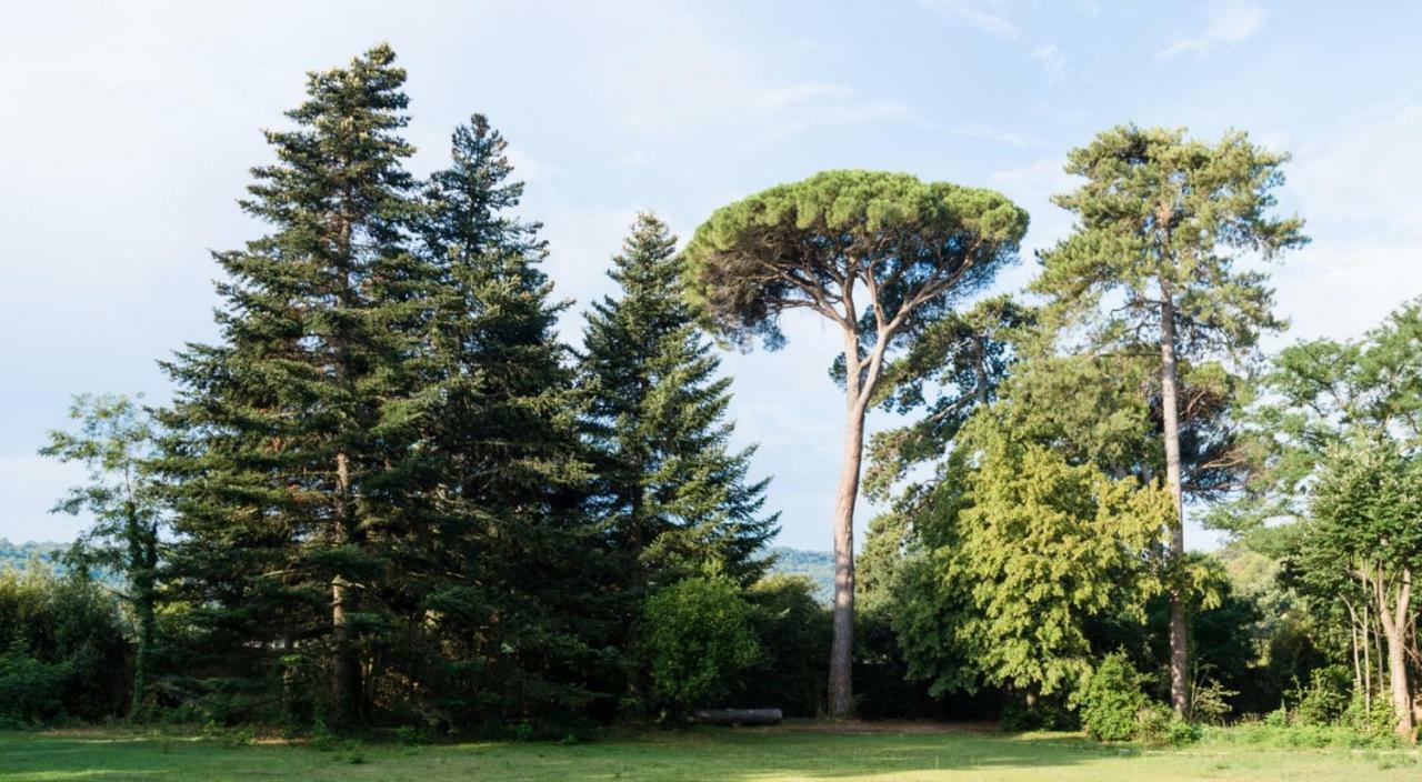 Chateau De Montcaud Sabran エクステリア 写真